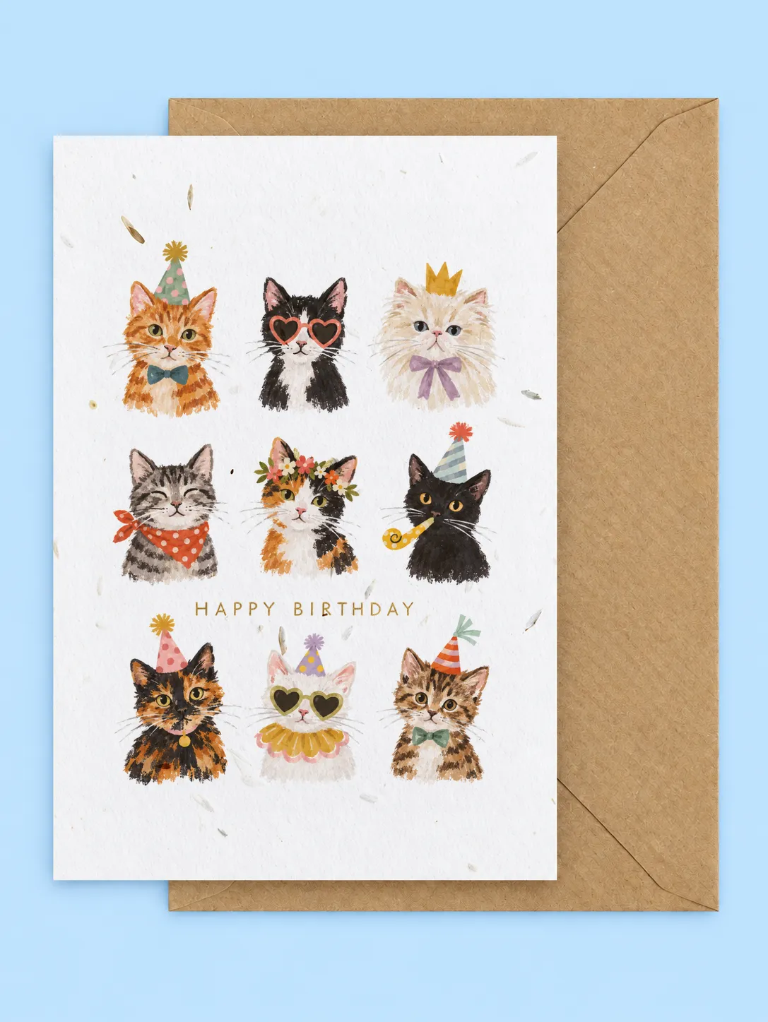 Nine cats in party hats, sunglasses, a crown and bow ties with Happy Birthday lettering, seed paper birthday card with a kraft envelope on a pale blue background